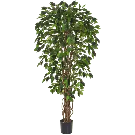 Ficus Liana XL - kunstplant | Bestel vandaag