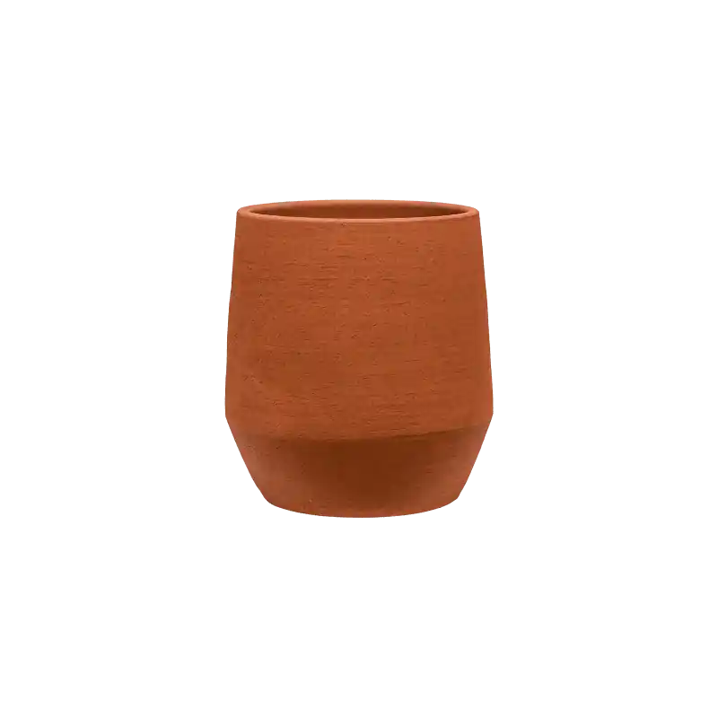 Chao Darcy Terra | Trending