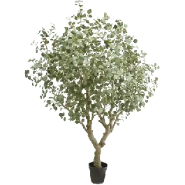 Eucalypthus XXXL - kunstplant | Direct leverbaar