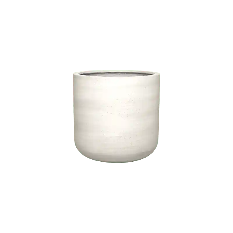 Topprijs - Urban Charlie White Washed