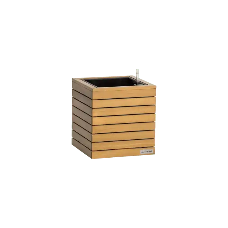 Natural Wood Cube | Vanaf nu beschikbaar