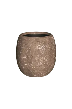 Dagdeal | Polystone Coated Balloon Bruin
