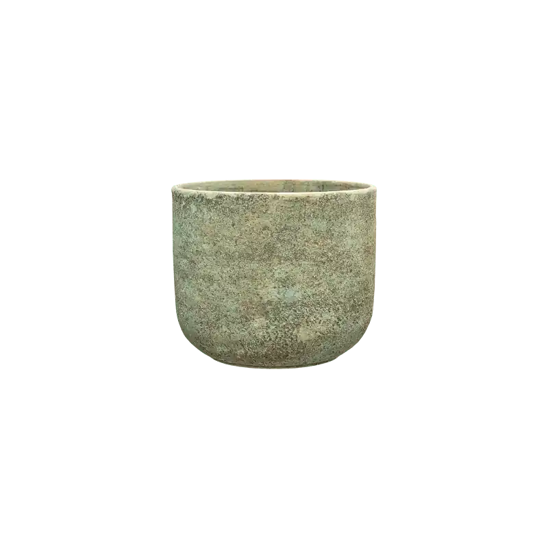 Mont Blanc Cylinder Groen - Veilig betalen