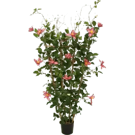 Veilig betalen | Clematis op rek - kunstplant