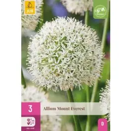 Allium Mount Everest - 3 stuks | Veilig winkelen