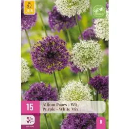 Nieuw binnen - Allium Paars & Wit - 15 stuks