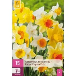 Narcissus grootkronig mix - 15 stuks | Direct van de fabrikant