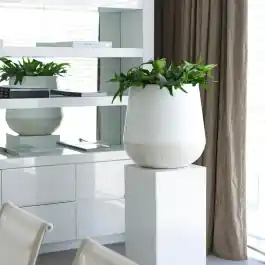 Caluya Planter White - Expreslevering