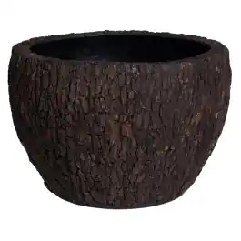 Bosco Couple Bark Large - Topdeal
