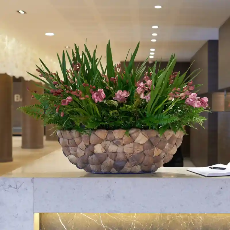 Flitsaanbieding | Bosco Oval Coconut