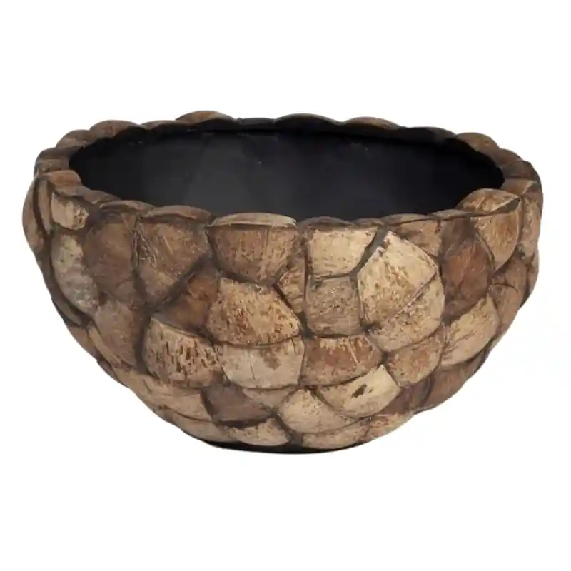 Bosco Bowl Coconut | Deal