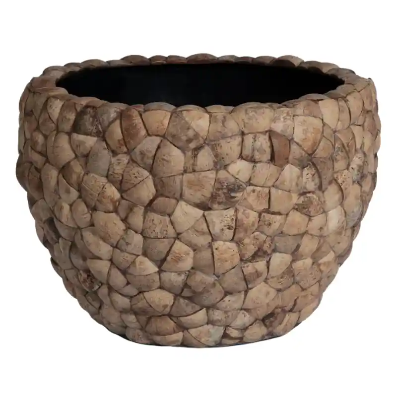 Scherpe prijs - Bosco Couple Coconut