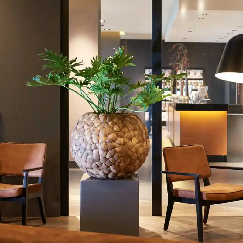 Veel gevraagd - Bosco Globe Coconut