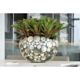 Hoog gewaardeerd - Pinctada Bowl
