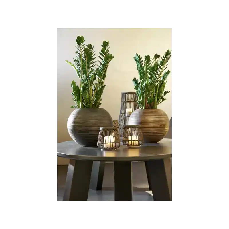 Curved Globe Bronze - Beste prijs