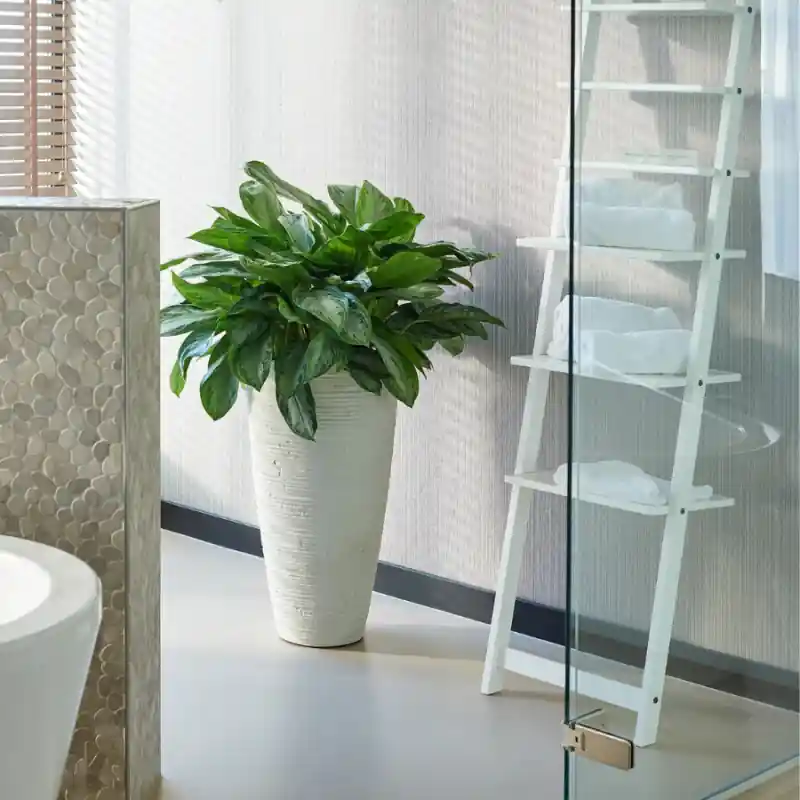 Veel voordeel | Curved Partner White