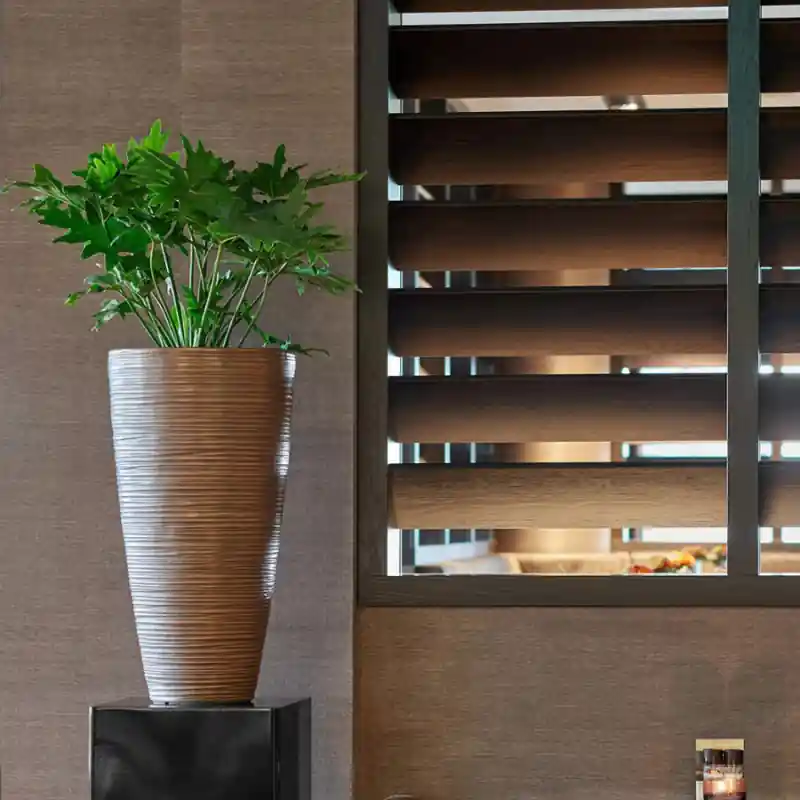 Uitverkoop - Curved Partner Bronze