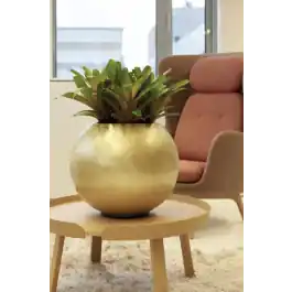 Prijsverlaging | Lubang Globe Gold