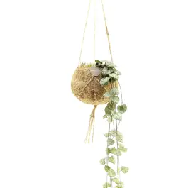 Speciale aanbieding | String of Hearts in Kokodama