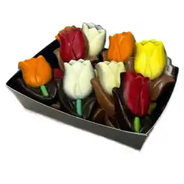 Lage prijs - Chocolade Tulpen