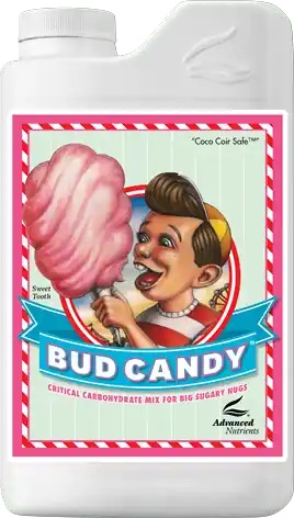 Wees er snel bij | Advanced Nutrients Bud Candy® Bloeistimulator