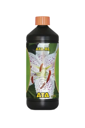 Speciale aanbieding - Atami Ata XL ~ Wonderdrankje