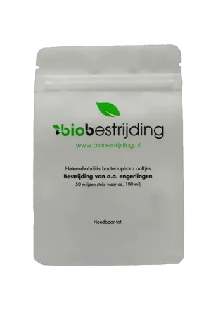 BioBestrijding Aaltjes tegen Engerlingen ~ Heterorhabditis Bacteriophora | Nieuw