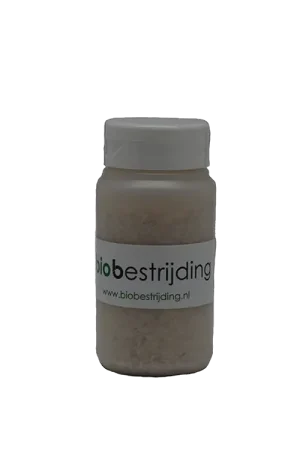 BioBestrijding Roofmijt tegen Spint Correctief ~ Phytoseiulus Persimilis | Vanaf nu beschikbaar