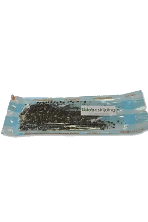 BioBestrijding Roofmijt tegen Varroamijt ~ Hypoaspis Miles - Actie