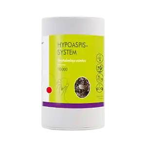Brimex BioBest - Hypoaspis System (Bodemroofmijt tegen Bodeminsecten) - Nieuw in het assortiment