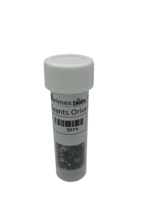 Brimex BioBest - Orius System (Roofwantsen tegen Trips) - Profiteer nu