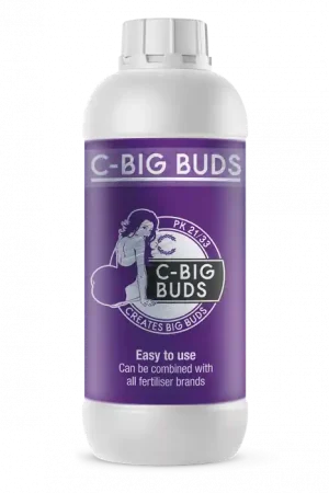 C-Result C-Big Buds | Extra voordeel