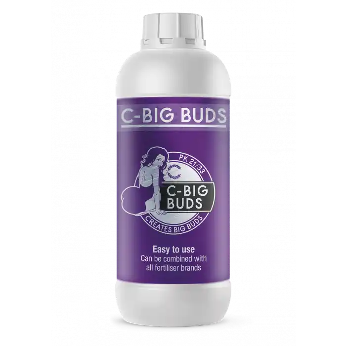 C-Result C-Big Buds | Extra voordeel