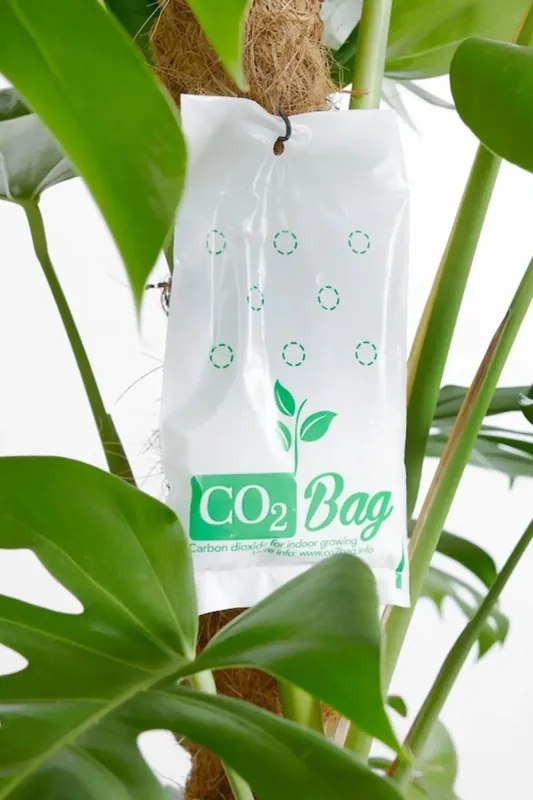 Klantfavoriet - CO2BAG Kooldioxidezak