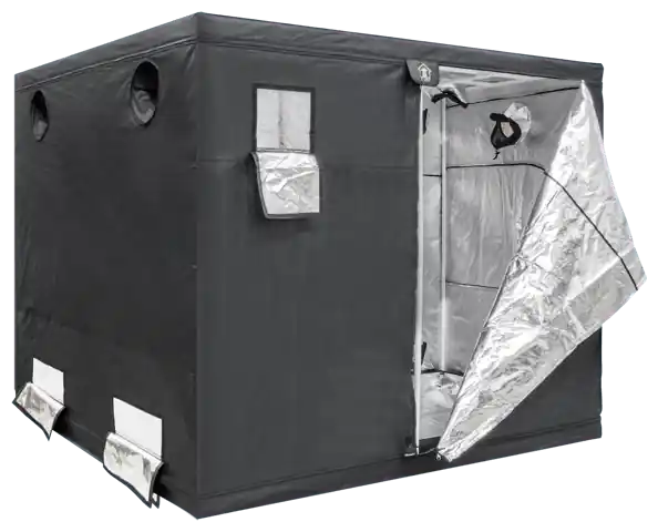 Dr. Green GR360 - 360x240x215/240cm ~ Kweektent | Voordeelprijs