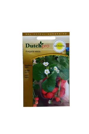 Sale | Dutch Pro - Aardbei Regina ~ Fragaria Vesca