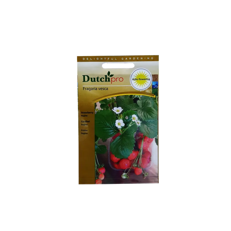 Sale | Dutch Pro - Aardbei Regina ~ Fragaria Vesca