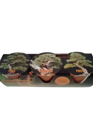 Veel voordeel | Dutch Pro Bonsai Mix