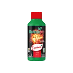 Dutch Pro Explode Bloei Booster | Laatste dagen