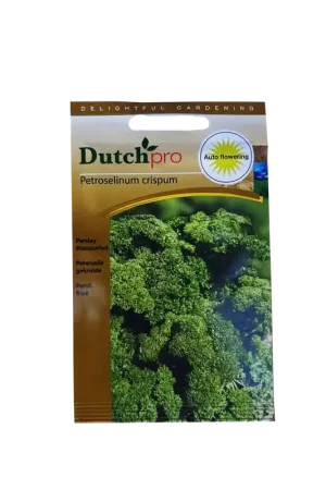 Dutch Pro - Gekrulde Peterselie ~ Petroselinum Crispum | Veel gevraagd