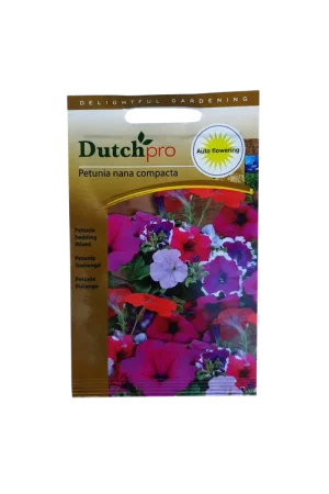 Dutch Pro - Petunia Gemengd ~ Petunia Nana Compacta | Flitsaanbieding