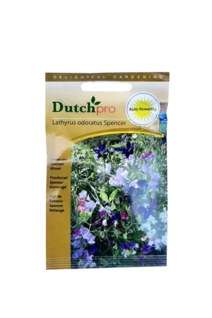 Premiumkwaliteit - Dutch Pro - Pronkerwt Spencer Gemengd ~ Lathyrus Odoratus Spencer