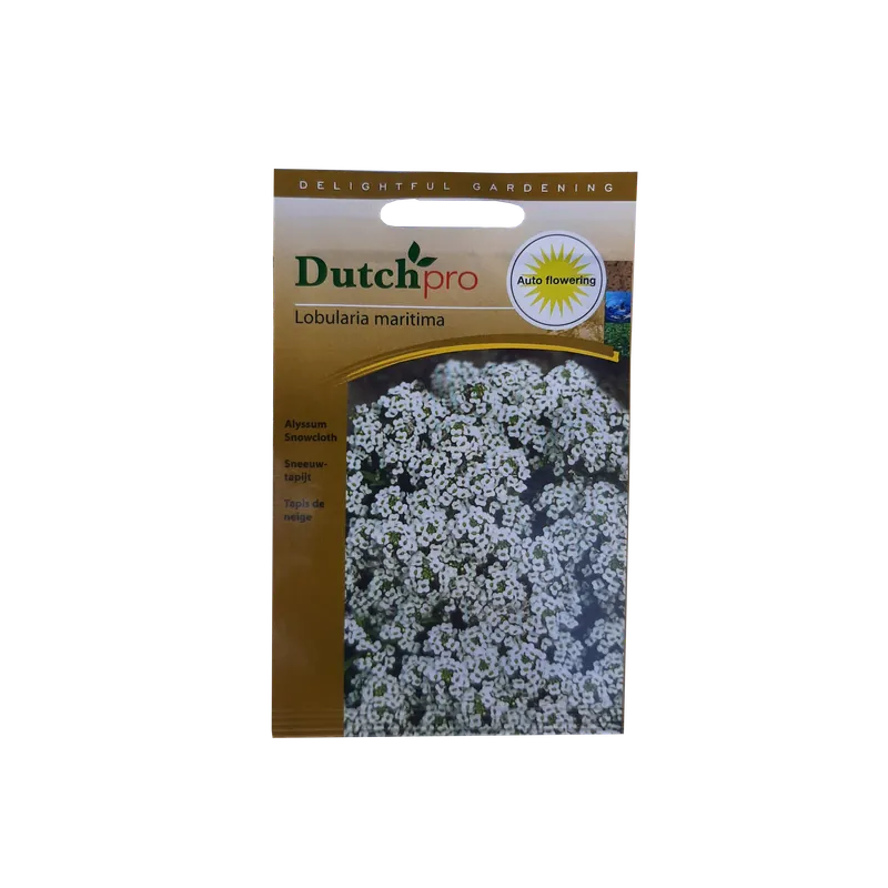Nieuw gelanceerd - Dutch Pro - Sneeuwtapijt ~ Lobularia Maritima
