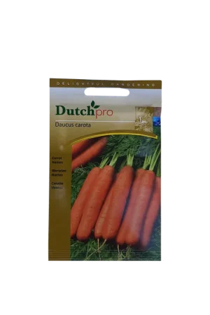 Meest verkocht | Dutch Pro - Wortelen Nantes ~ Daucus Carota