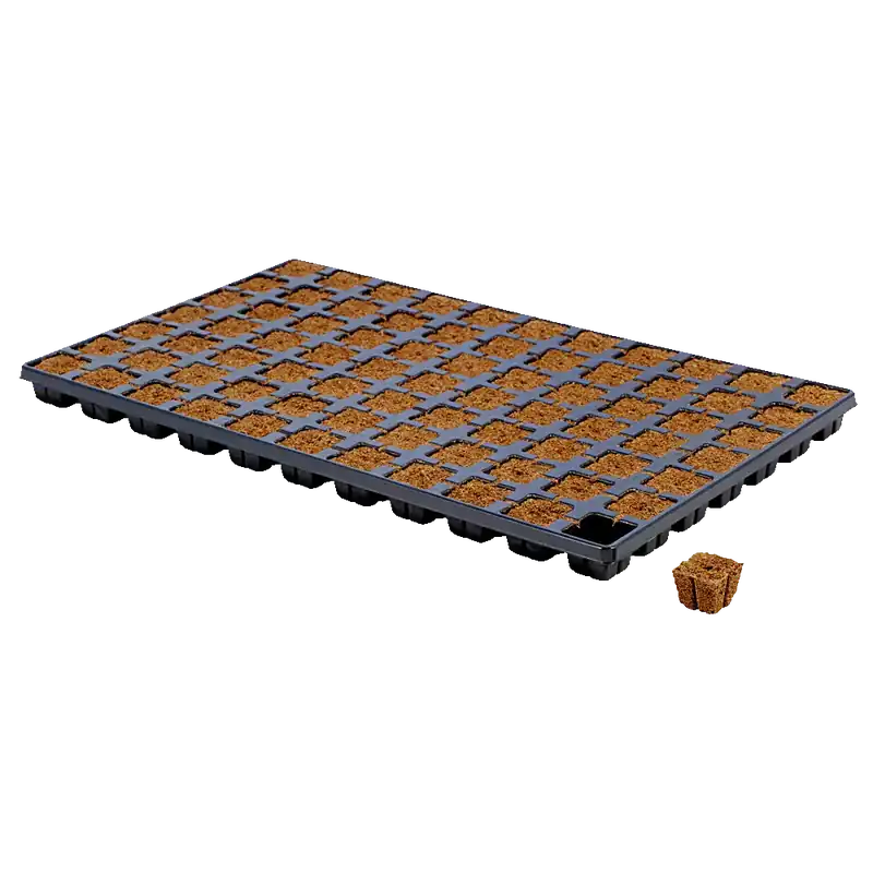 Nieuw gelanceerd - Eazy plug Stekken plug tray CT - 6 / 12 / 24 / 77 / 104 / 150 stuks