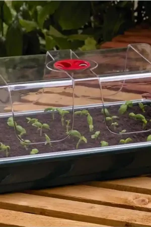 Prijsverlaging - Garland High Dome Propagator Propagatie Kweekbak