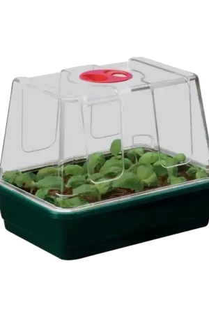 Garland Kleine High Dome Propagator 23x17x18cm - Voordeelprijs