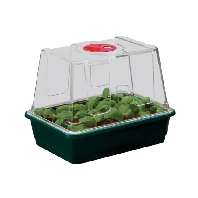 Garland Kleine High Dome Propagator 23x17x18cm - Voordeelprijs