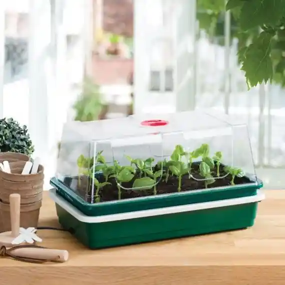 Direct kopen | Garland One Top Verwarmde Propagator 8 watt