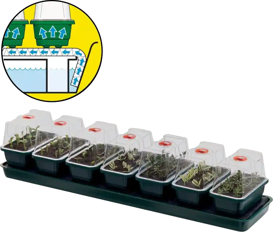 Garland Super 7 Zelf Bewaterende Propagator - Eenvoudig retourneren
